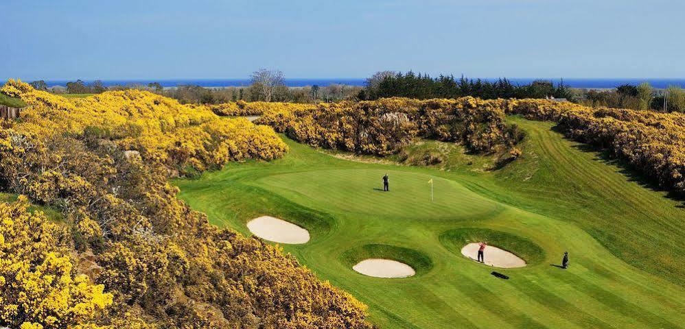 Druids Glen Resort Newtown Mount Kennedy Esterno foto