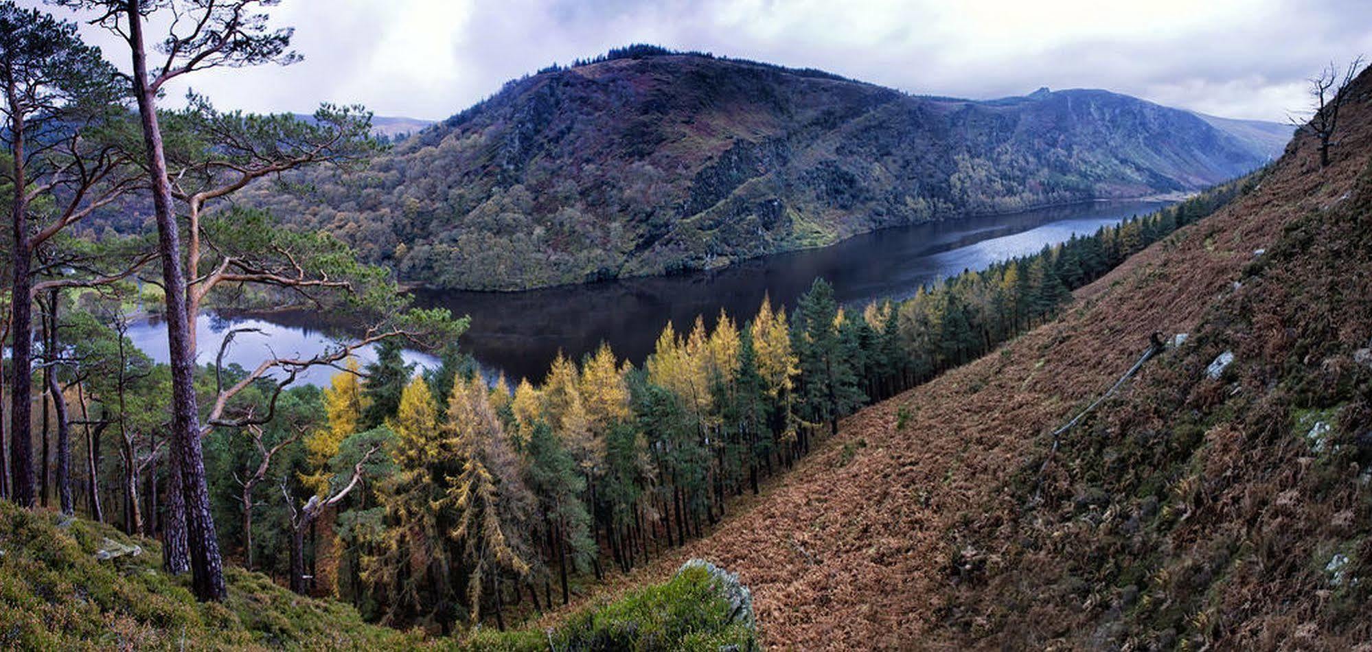 Druids Glen Resort Newtown Mount Kennedy Esterno foto
